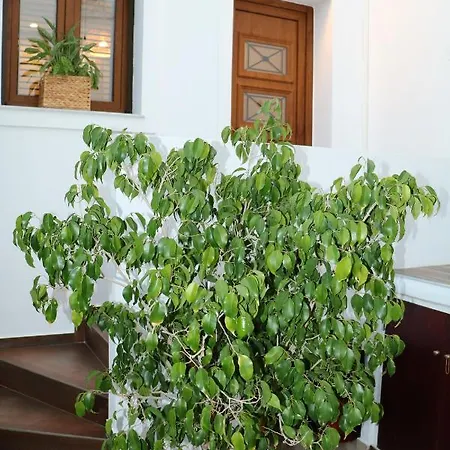Angelica's Deluxe In Appartamento